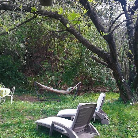 Joli Appartement Dans Villa Entre Nice Et L'Arriere Pays Castagniers Eksteriør bilde