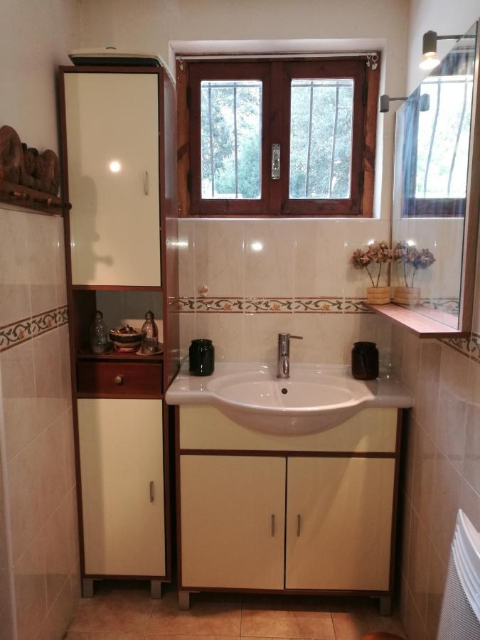 Joli Appartement Dans Villa Entre Nice Et L'Arriere Pays Castagniers Eksteriør bilde